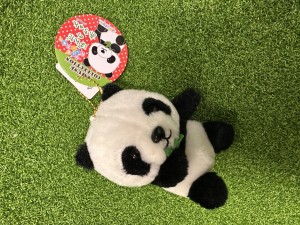 小熊貓躺臥在青草地