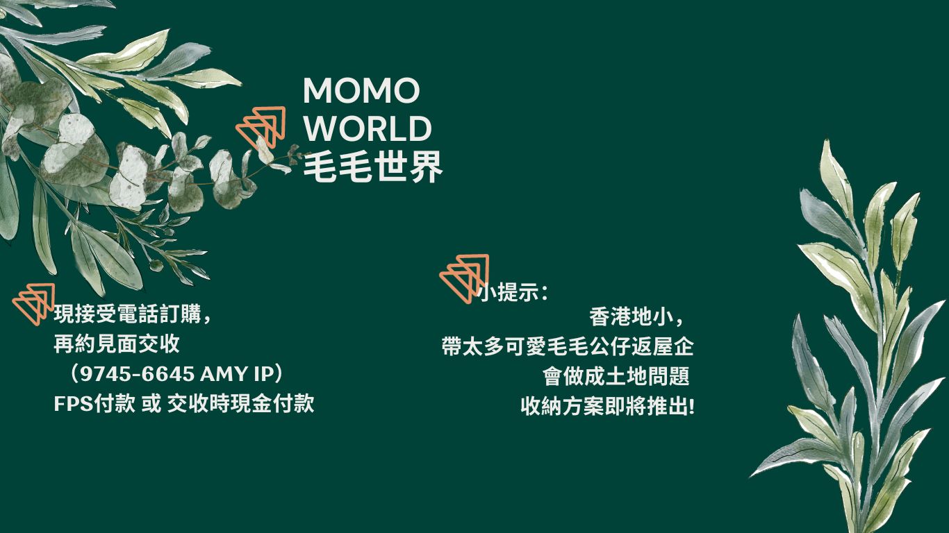 momo-world-3.jpg