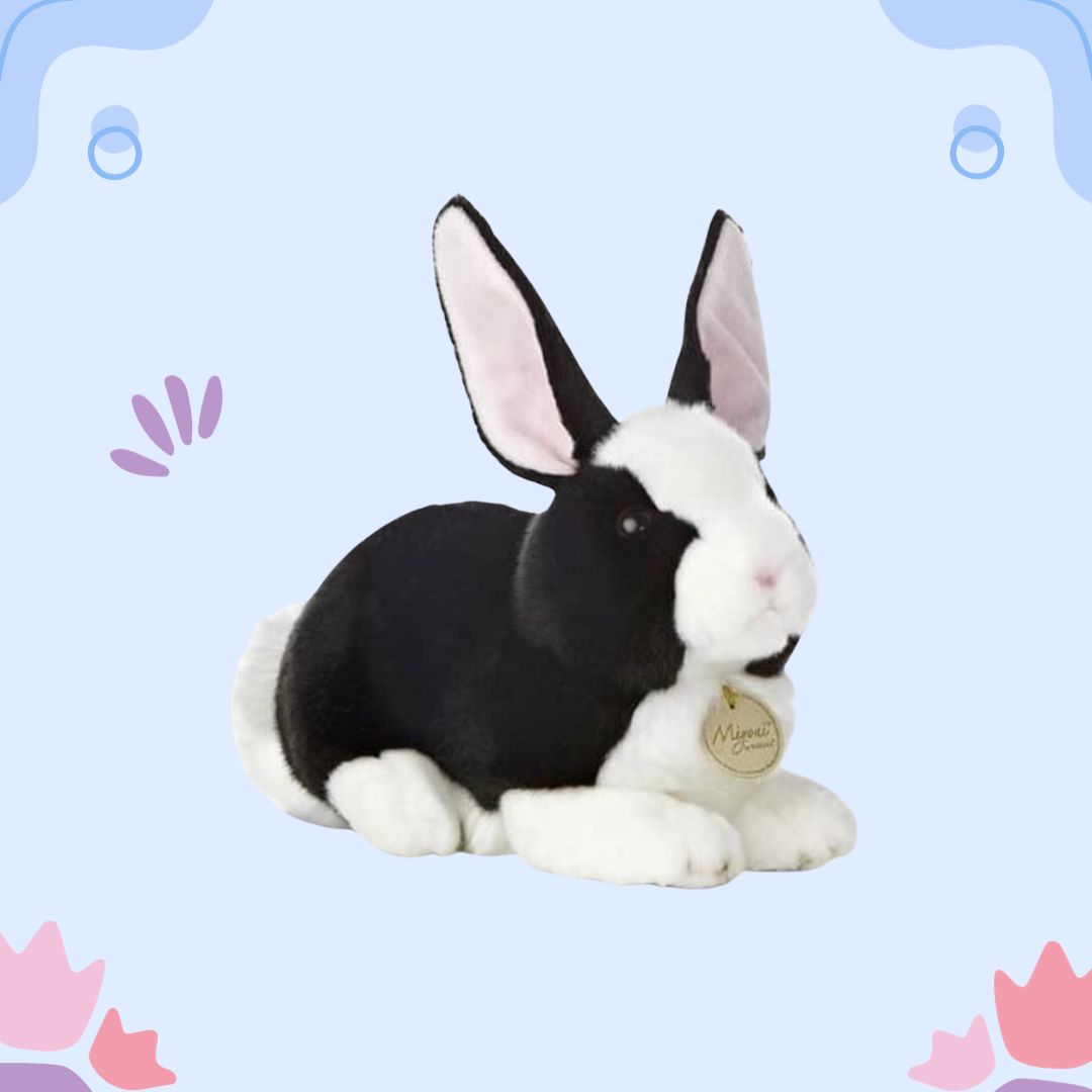 黑白兔🐰